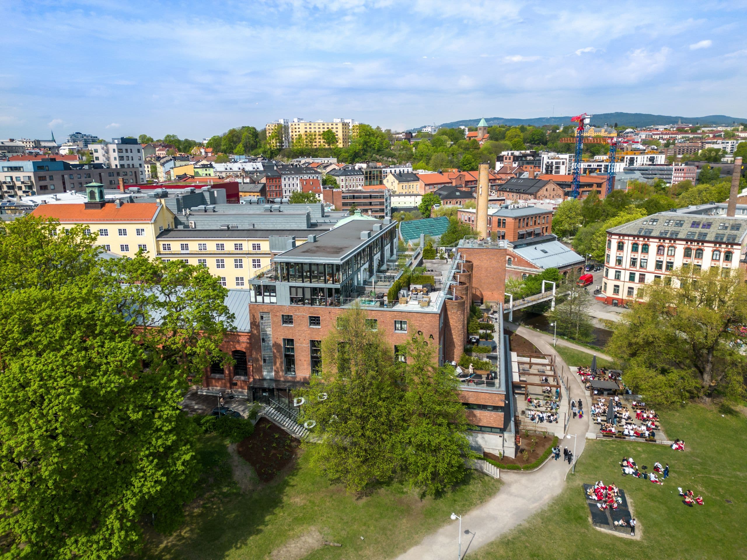 DJI_0265.jpg