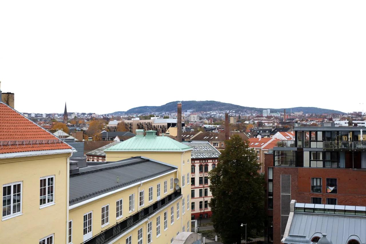 919_1992695785.jpg