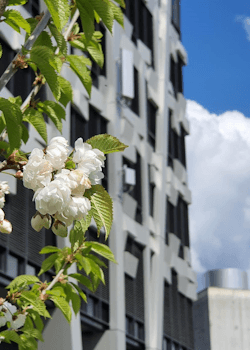 Miljøsertifiserte bærekraftige bygg gir høyere leieinntekter og verdi