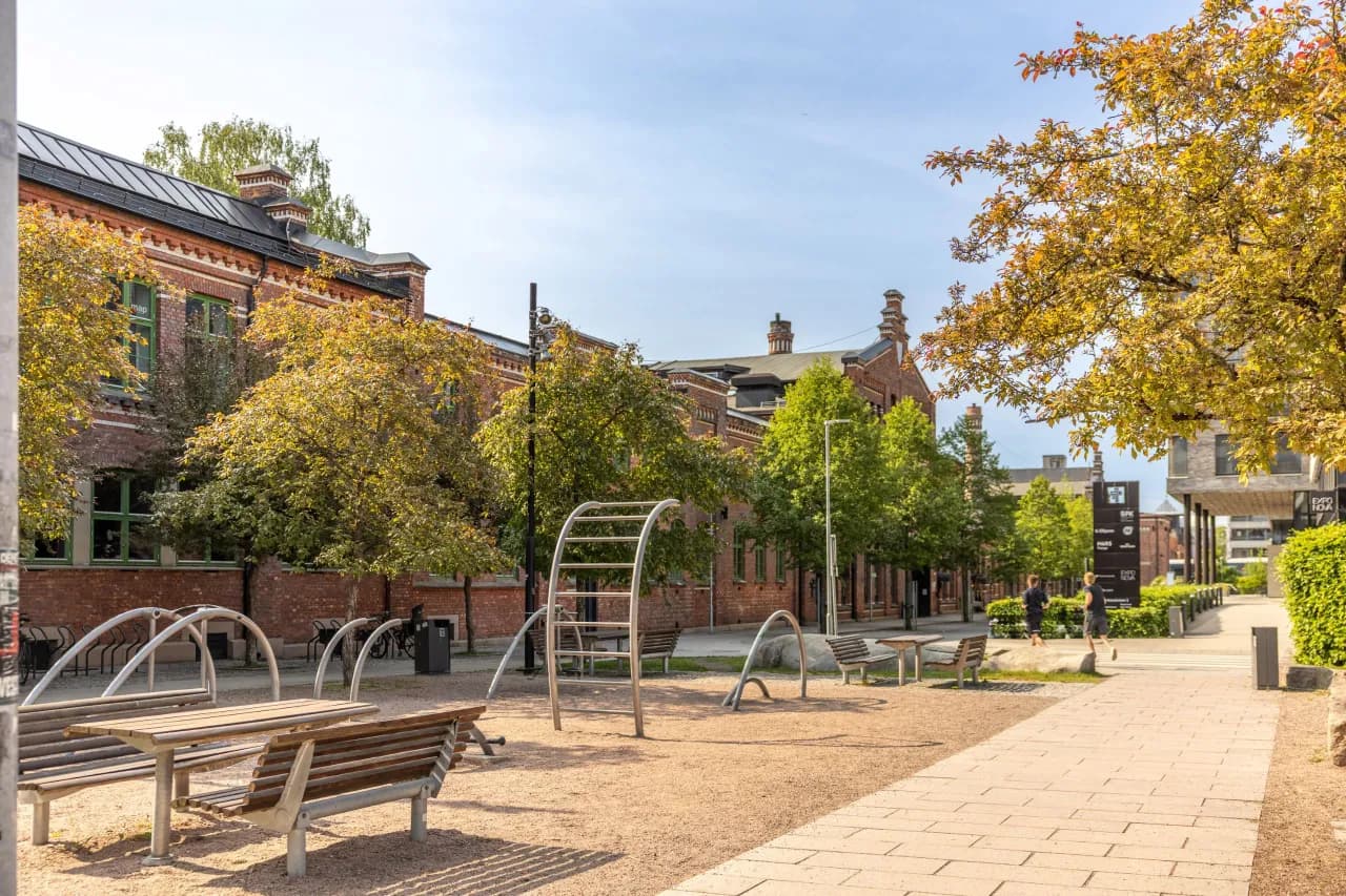 958_568752cc-7031-4ba0-ad21-a6865a89bb32.jpg